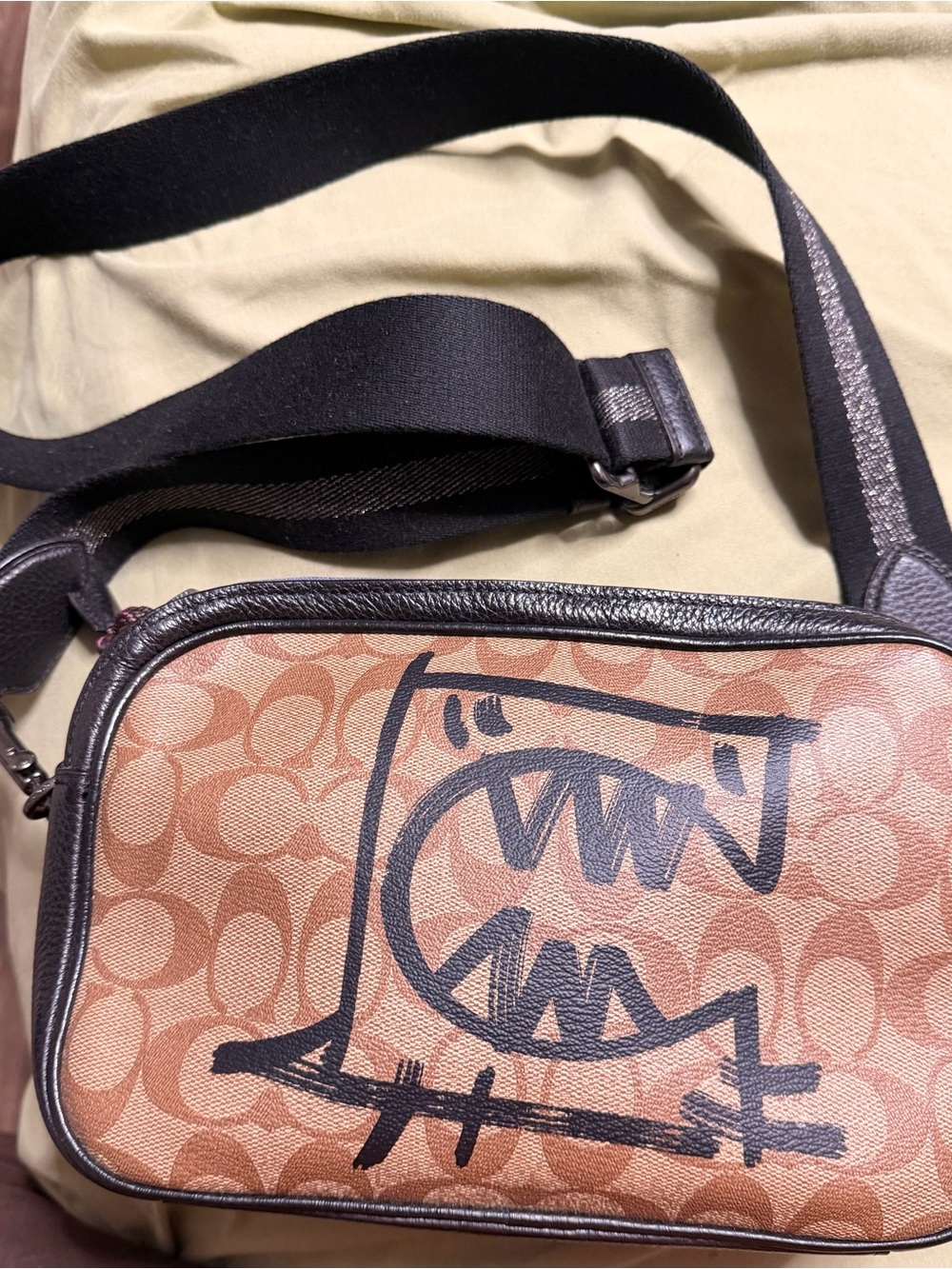 Coach Rexy x Guang Yu crossbody
